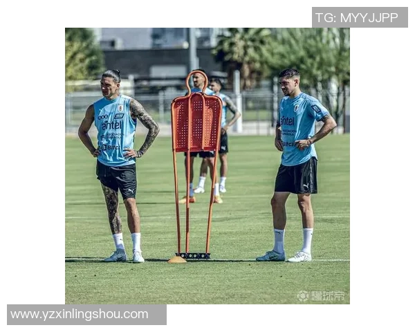 努涅斯在赛场上的崛起与挑战解析及其对足球未来的影响