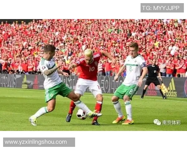 土耳其与美国竞彩分析及投注建议全面解读 土耳其与美国竞彩分析及投注建议全面解读