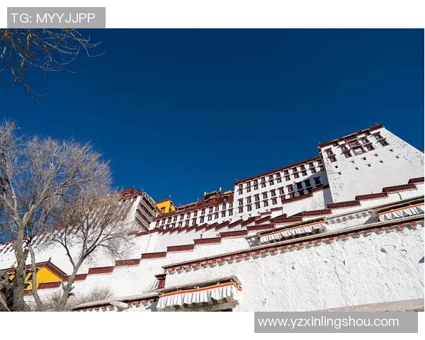 探索奥蓬达的魅力与神秘，揭开这片土地的历史与文化面纱