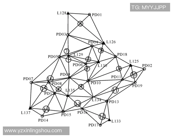 比例与采列的赛果分析与比较探讨 比例与采列的赛果分析与比较探讨