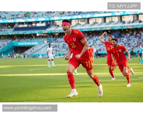 波黑对阵威尔士精彩直播全程回顾及赛后分析 波黑对阵威尔士精彩直播全程回顾及赛后分析