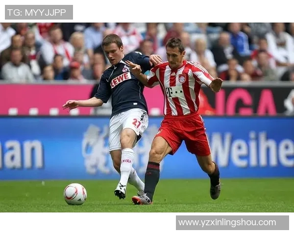 科隆与拜仁对决比分预测分析及赛前形势评估 科隆与拜仁对决比分预测分析及赛前形势评估