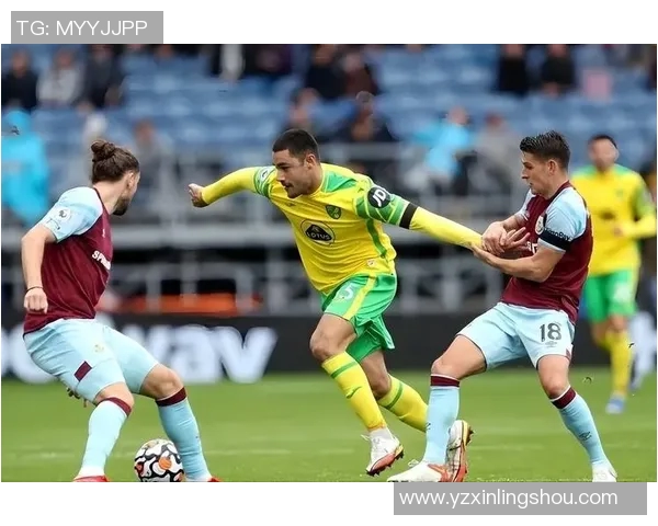 维拉主场迎战沃特福德期待精彩对决双方争夺英超宝贵积分