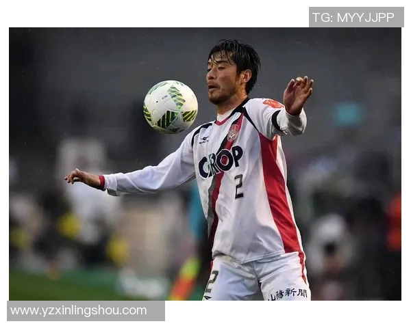 冈山绿雉迎战水户挑战赛精彩纷呈期待双方球队展现最佳状态