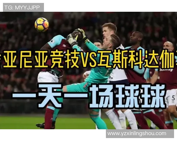 戈亚尼亚与瓦斯科激战正酣谁能在这场对决中笑到最后